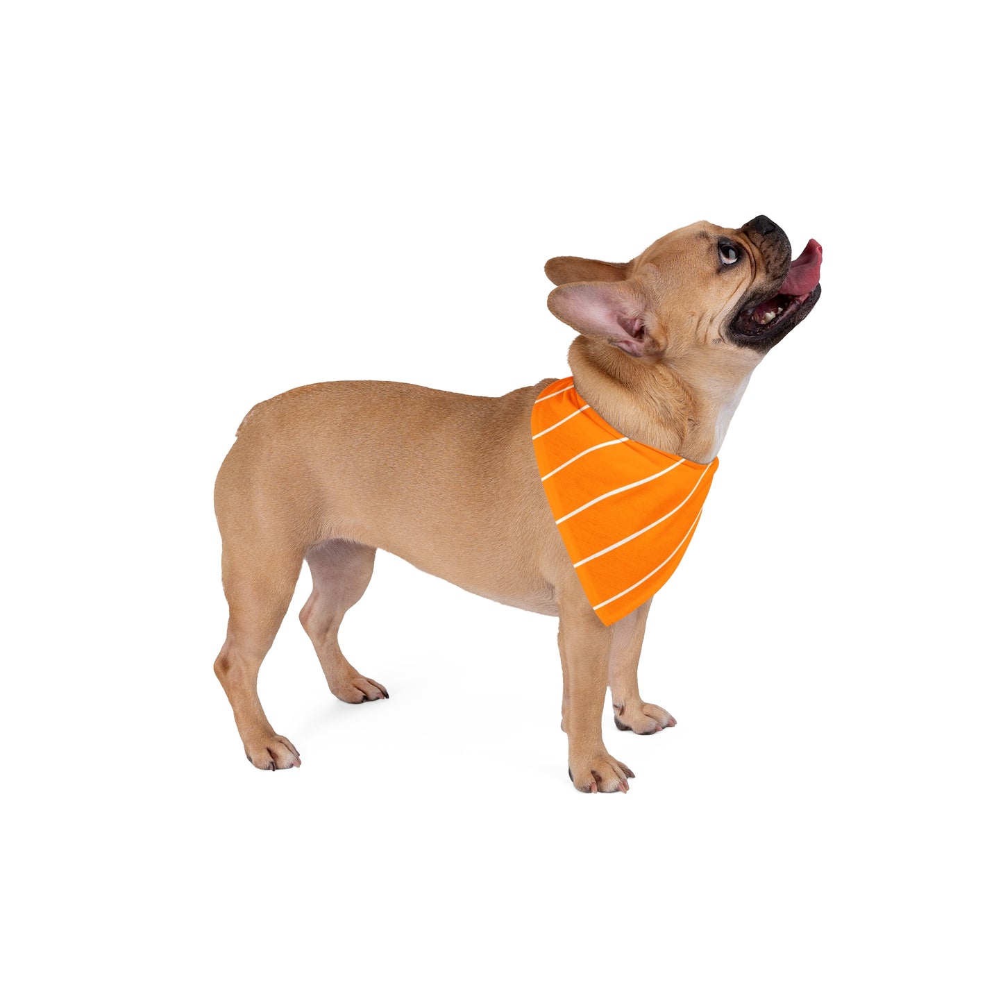 Orange stripe