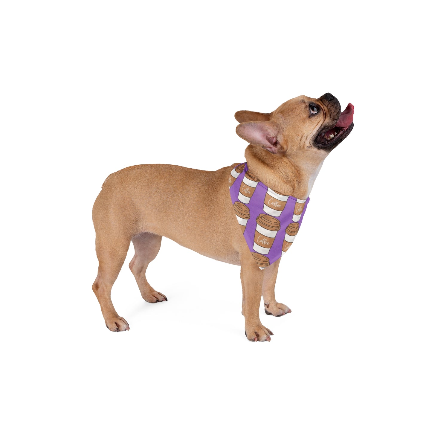 purple Coffee dog bandana