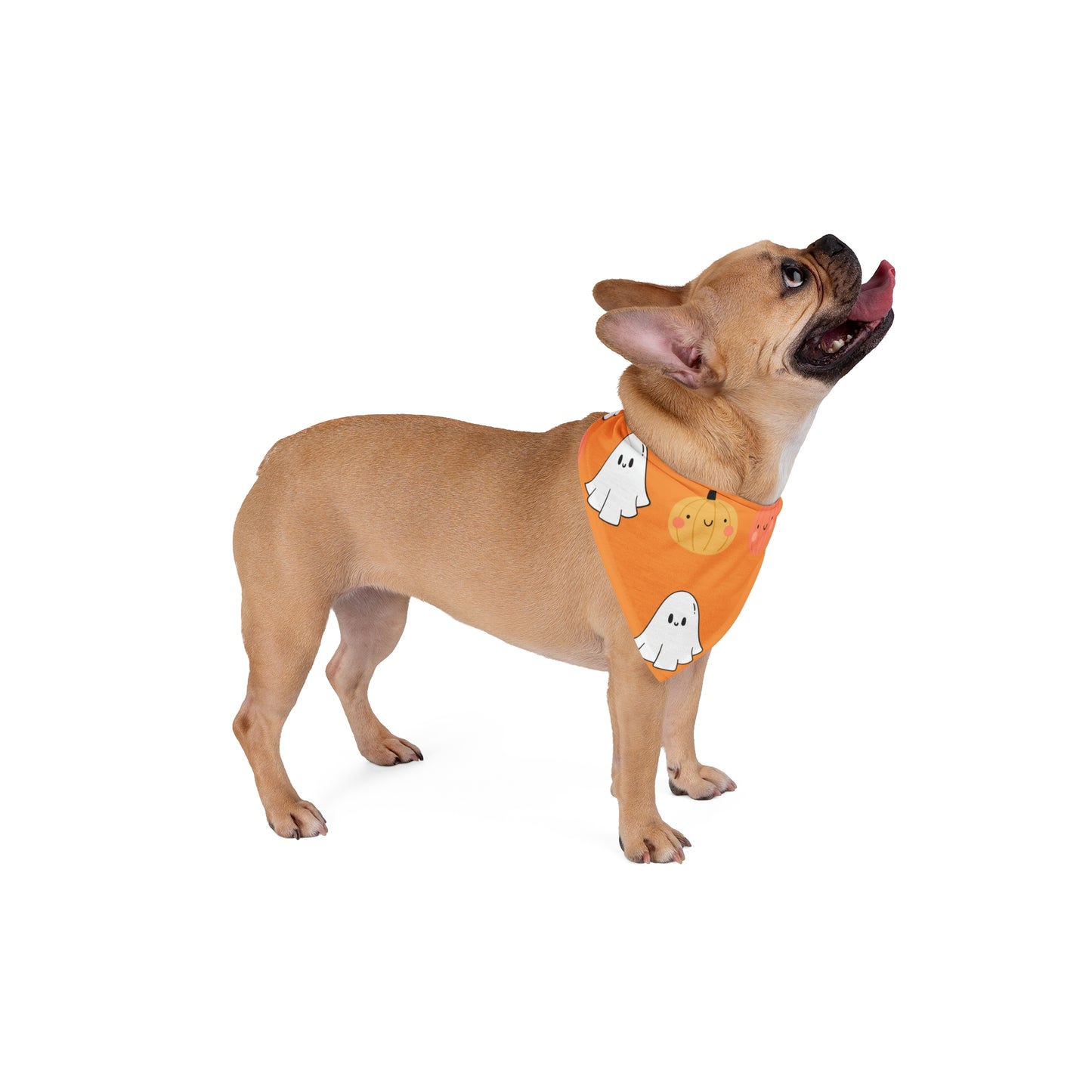 Halloween cute dog bandana