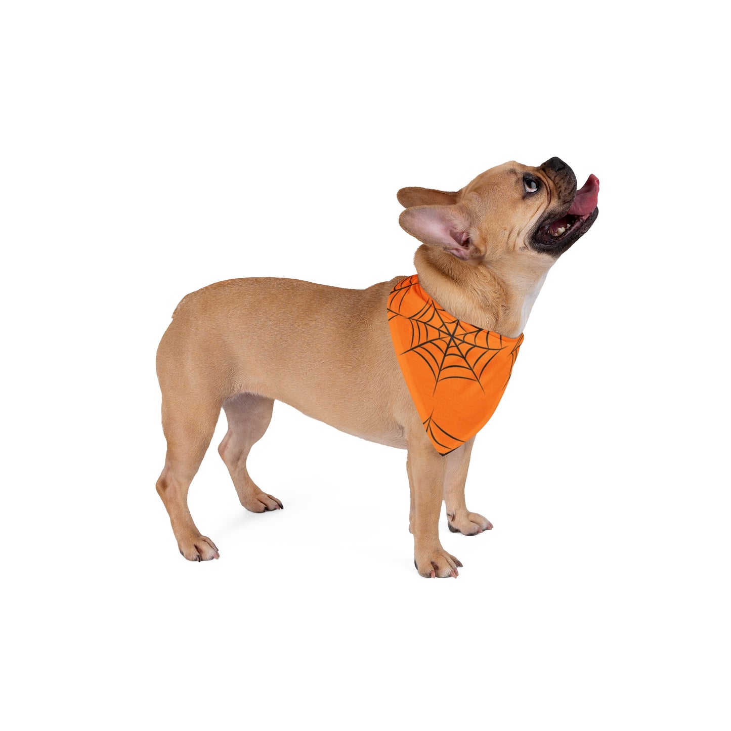 Halloween spider web bandana