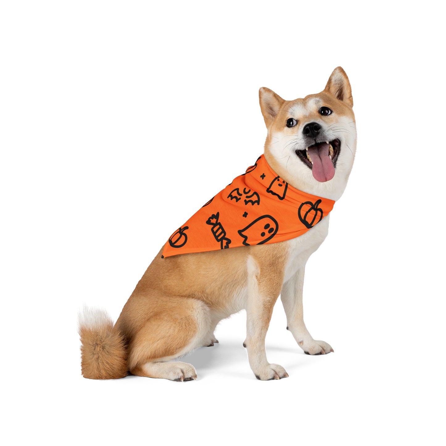 Halloween dog bandana