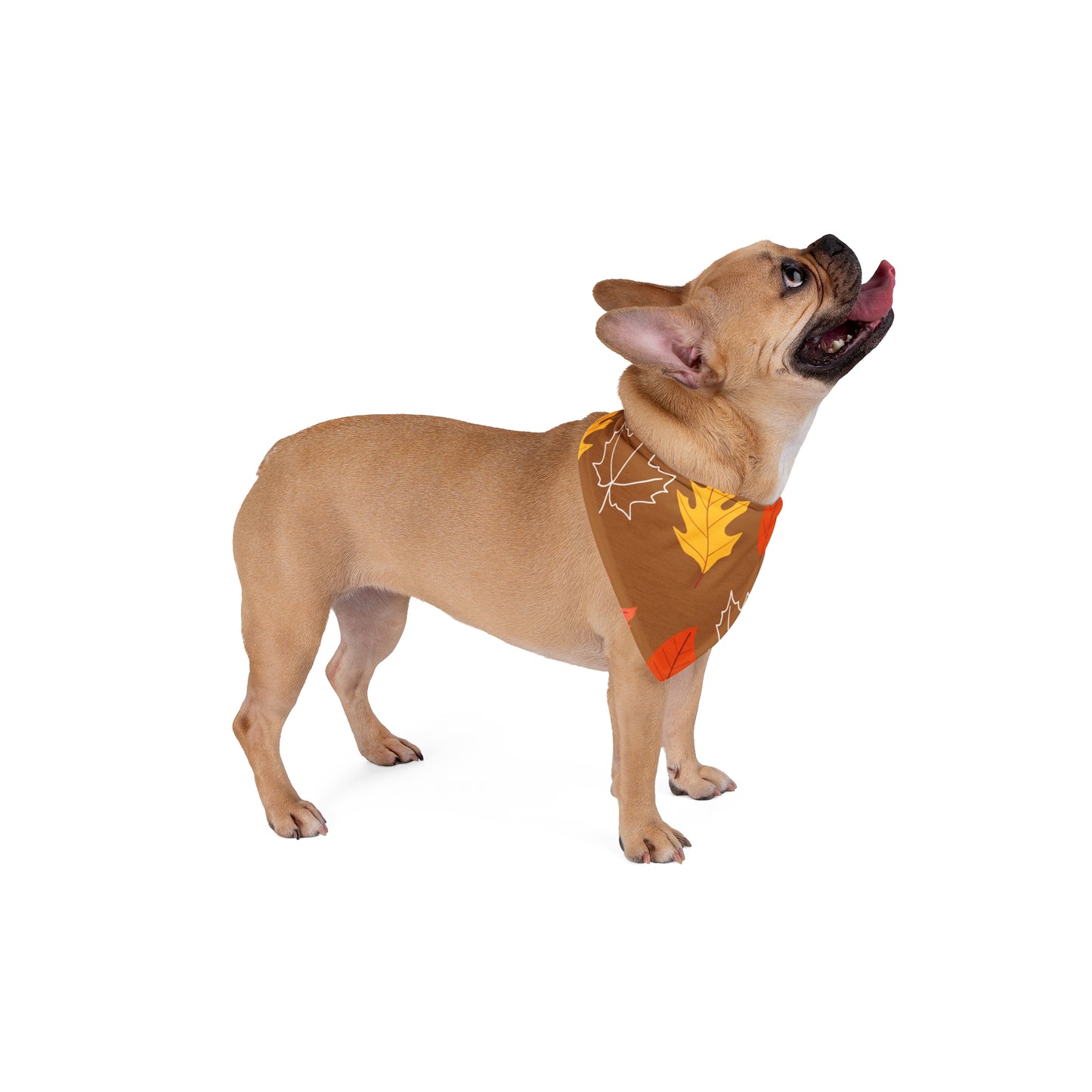 Fall leaves dog bandana