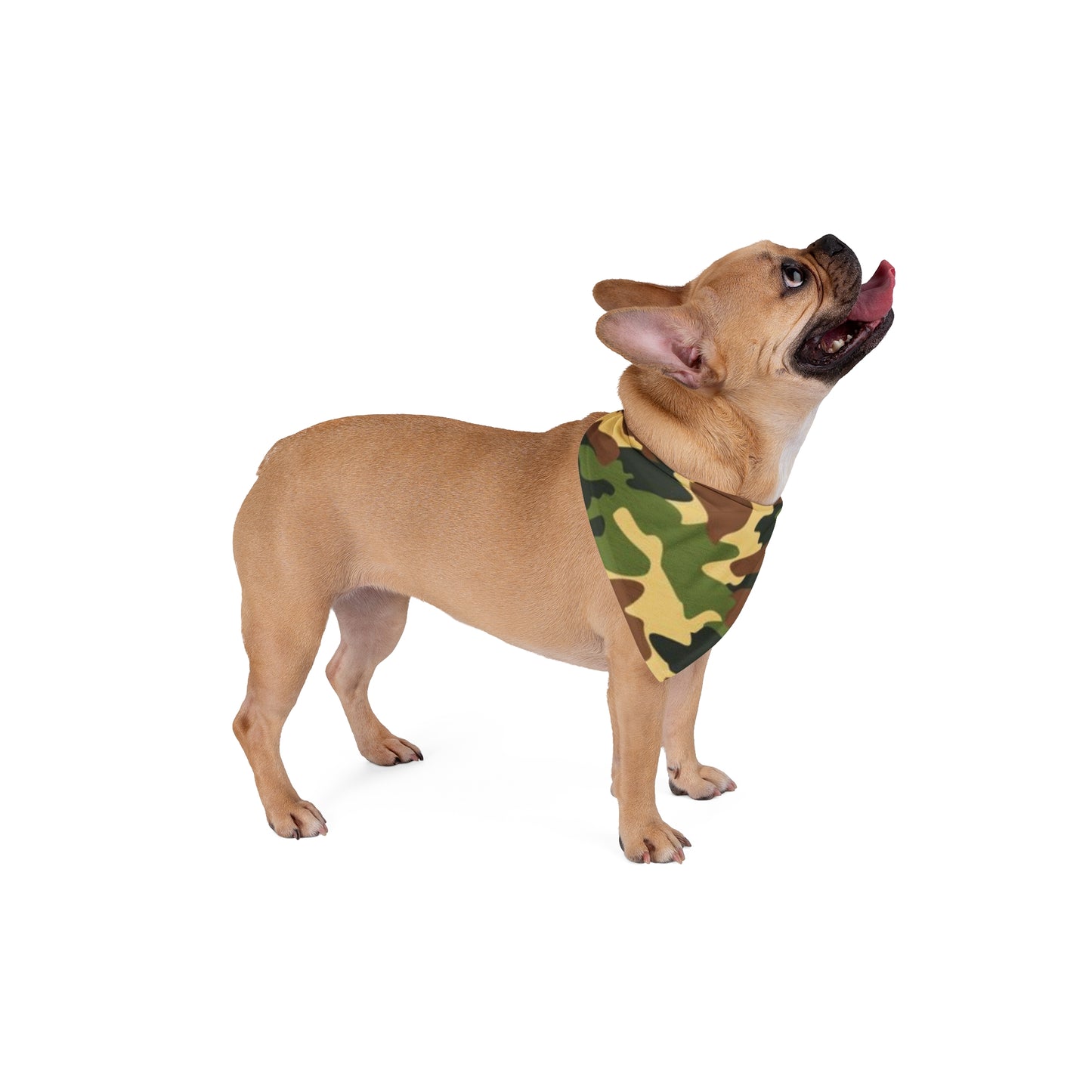Camouflage
