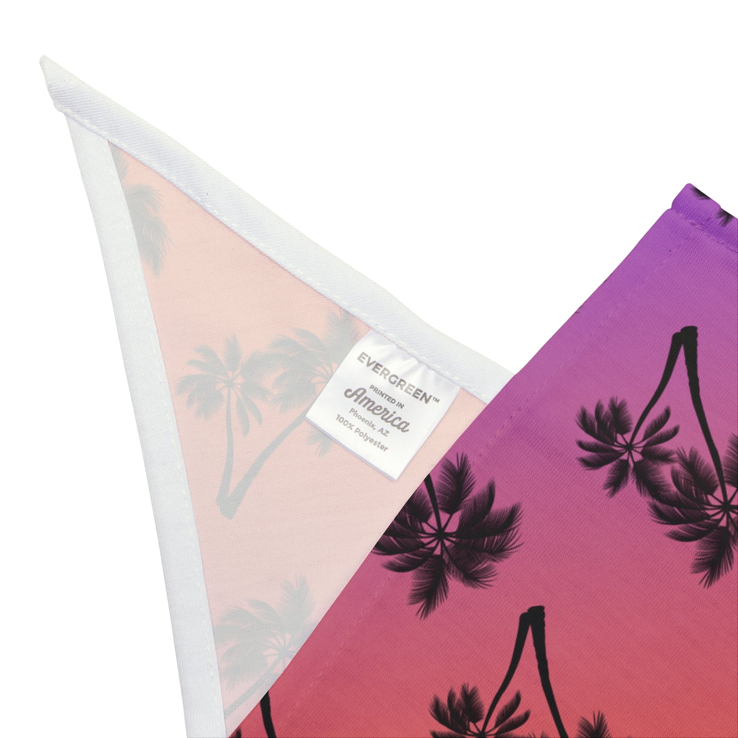Palm trees delight