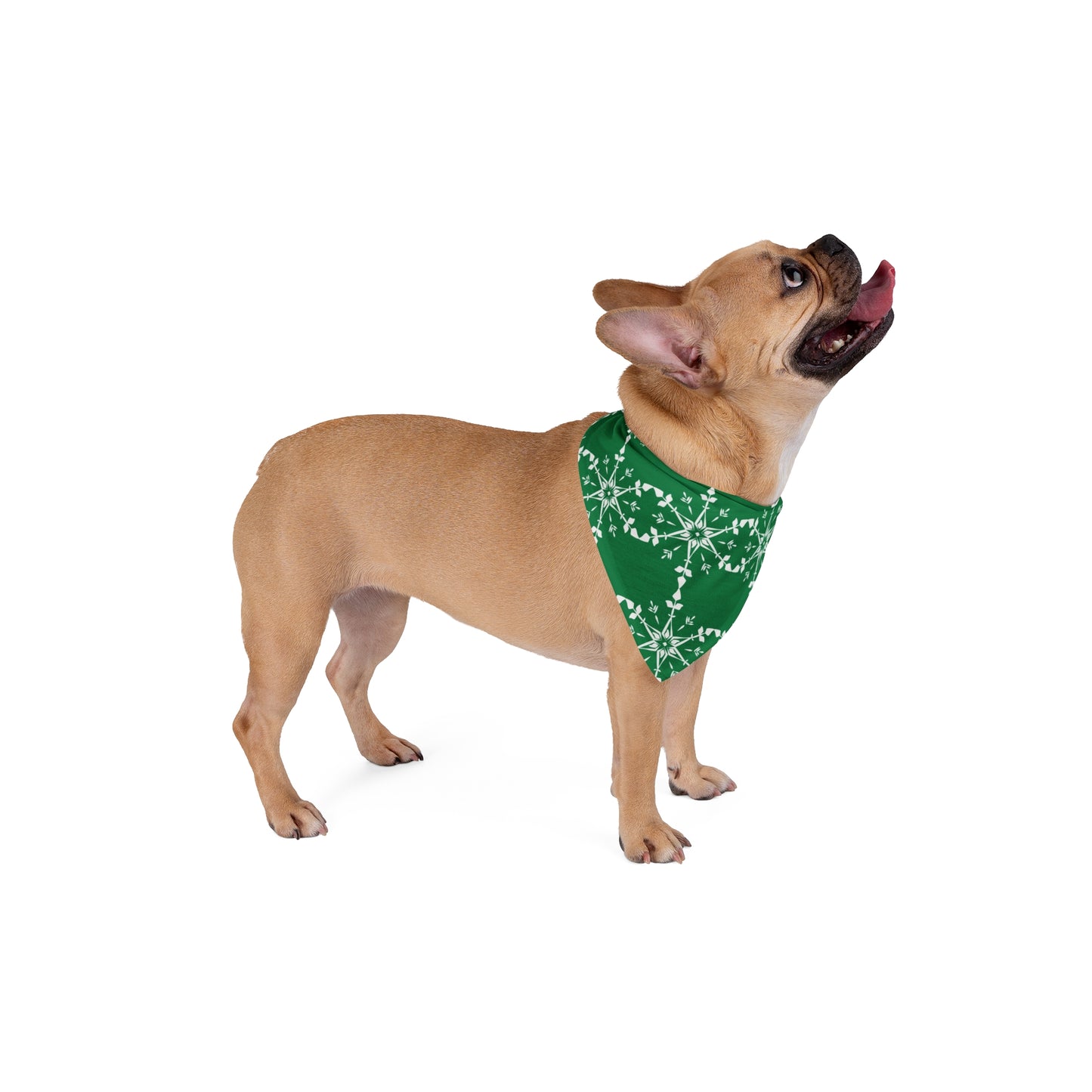 Snowflake (green)