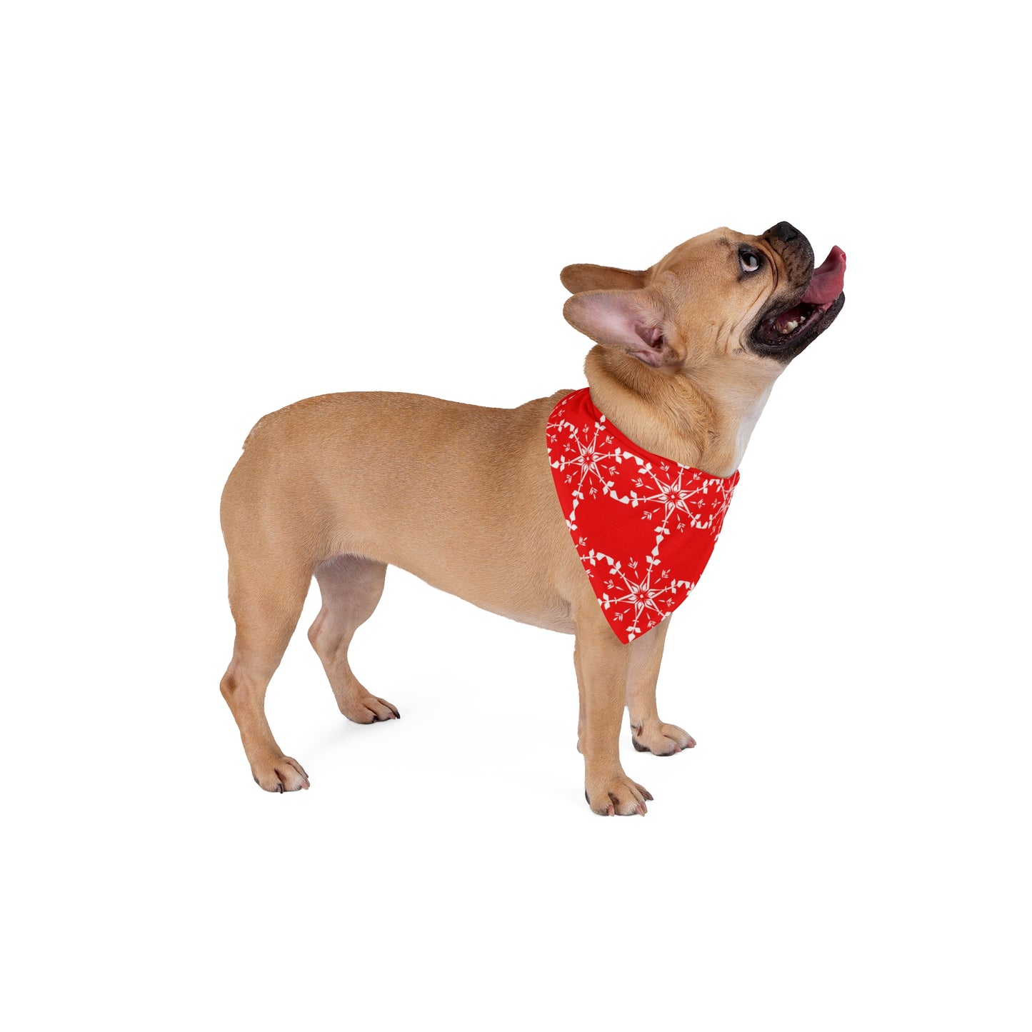 Snowflake (Red)