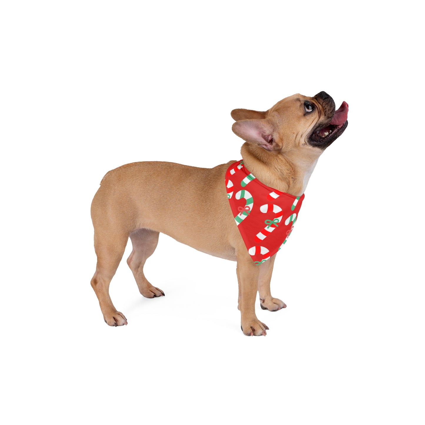 Candy cane bandana