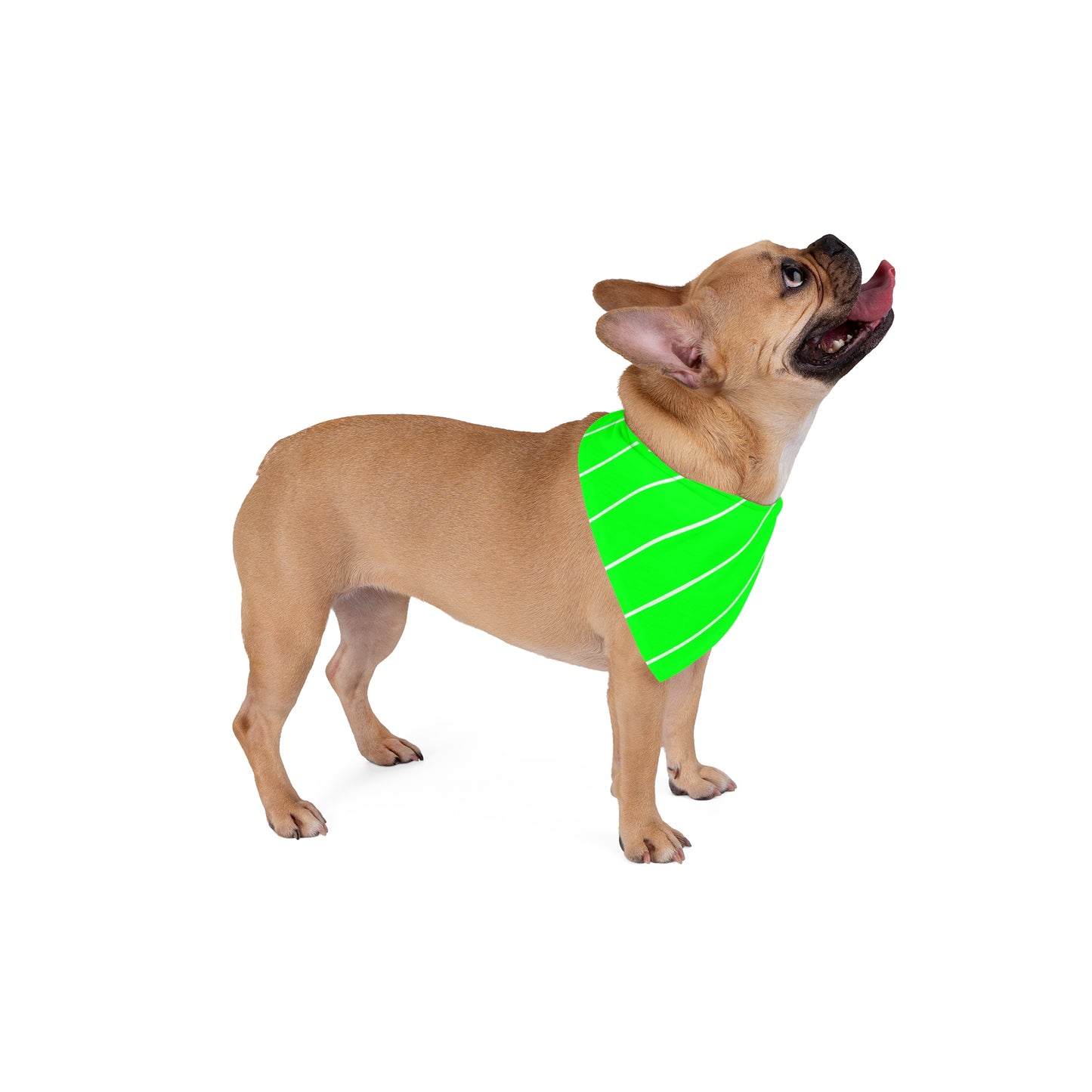 Green stripes